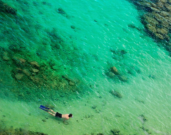 Hanauma Bay Snorkeling